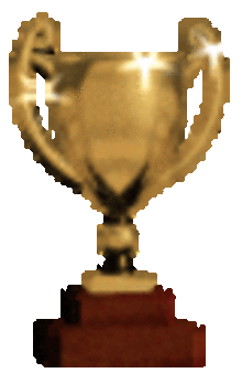 Pokal
